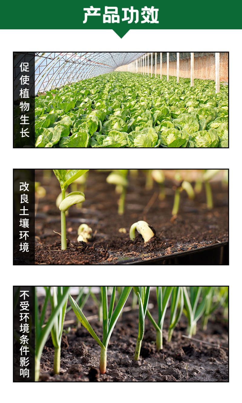 土壤改良剂微生物菌剂改善土壤板结防治根腐烂根