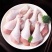 圣农单冻琵琶腿原料大鸡腿每年屠宰三亿羽厂价直发
