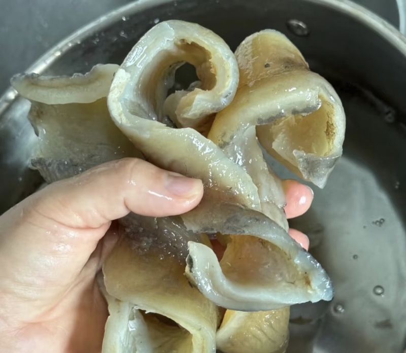 【品质保证】广州甲鱼裙边一斤大量有货可视频看货