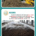 发酵剂鱼蛋白油枯豆饼厨余有机肥发酵剂秸杆腐熟剂包邮