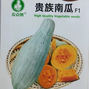 贵族南瓜种子-果肉厚营养粗粮贵族型南瓜长势强抗性强