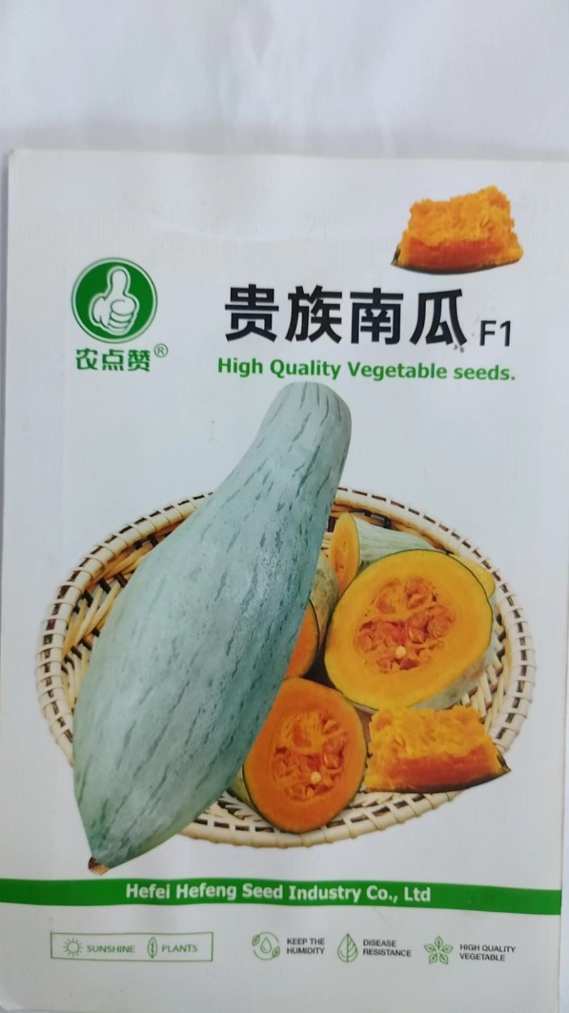 贵族南瓜种子-果肉厚营养粗粮贵族型南瓜长势强抗性强