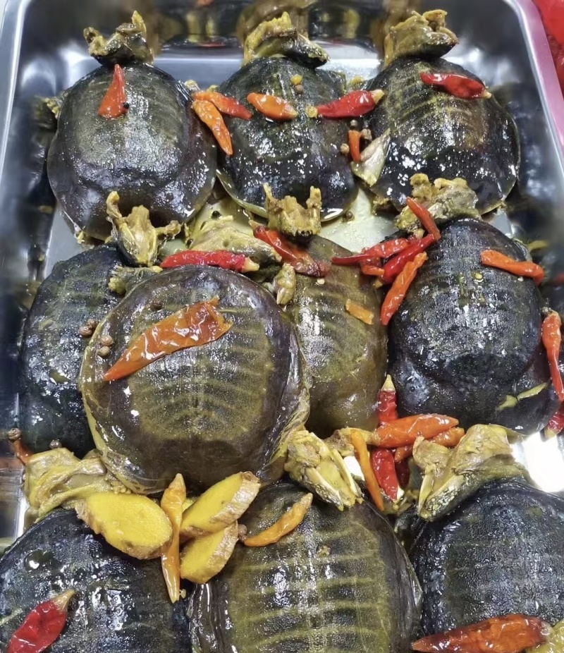 【热卖中】麻辣小甲鱼广东广州产地直发一手货源