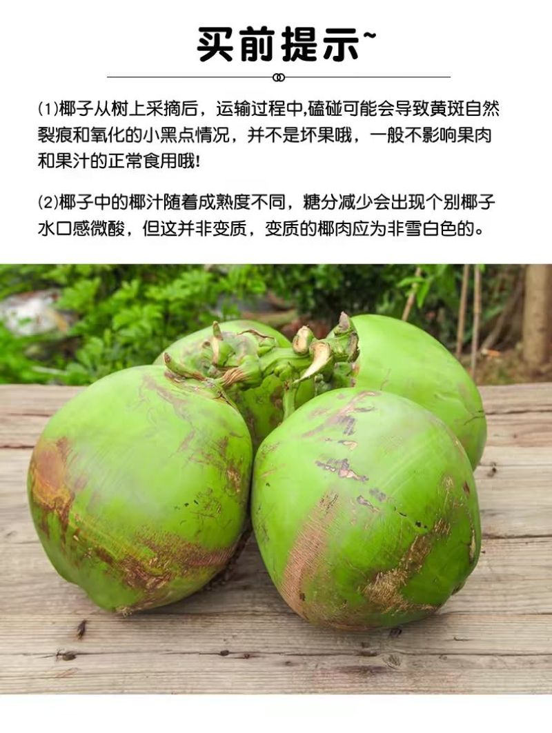 海南文昌椰子椰青黄金椰椰青批发一件代发