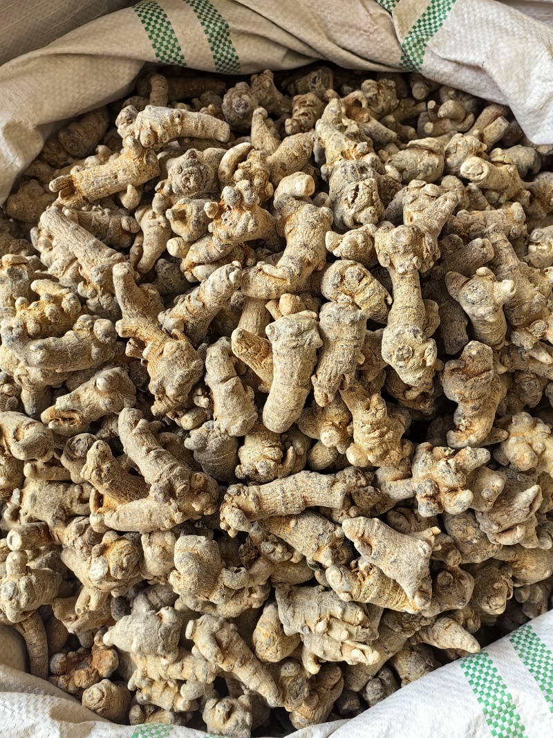 三七云南文山三七常年供应各种规格