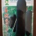 【墨优铁心9号】早中熟铁心瓜耐储运品质好