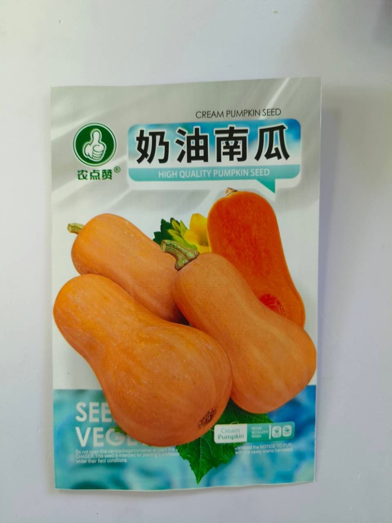 奶油南瓜种子-肉厚软糯香甜爽口生长旺盛糖度高