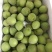 潮汕梅子青竹梅小白梅腌制泡酒精品货通货都有大量现货可联系