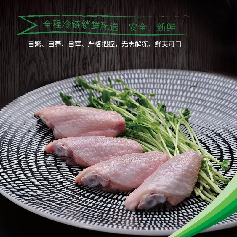 圣农冰鲜鸡翅中可乐鸡翅**营养餐学生餐厂家直发