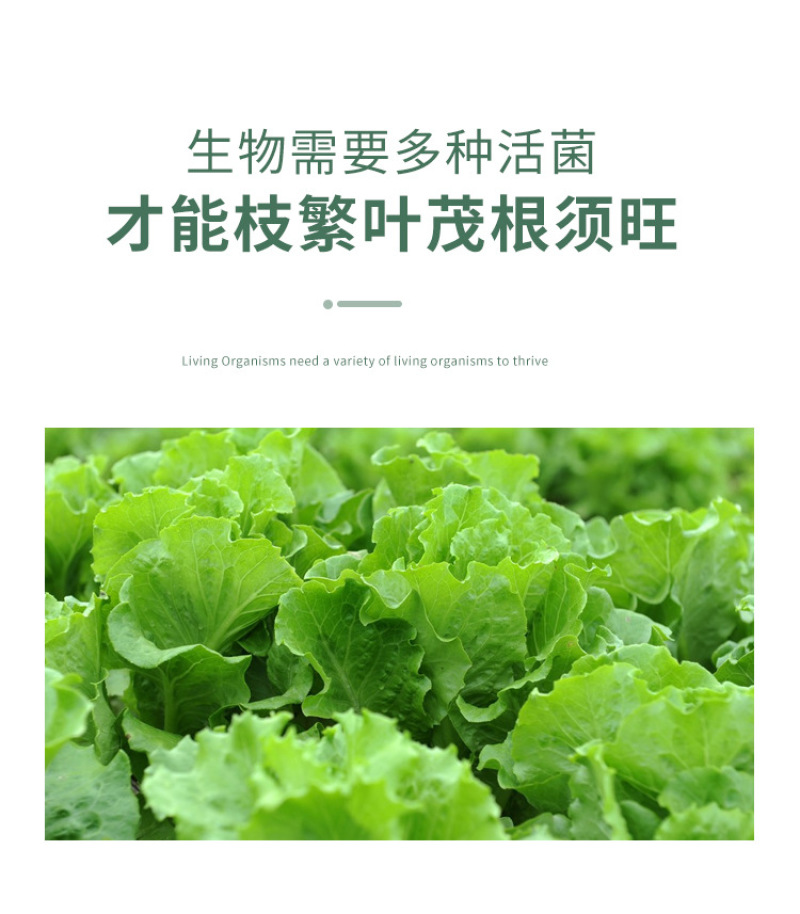 种植EM菌种EM菌液生根抗土传病害改良土喷施肥冲施肥