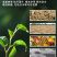 种植EM菌种EM菌液生根抗土传病害改良土喷施肥冲施肥
