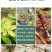 种植EM菌种EM菌液生根抗土传病害改良土喷施肥冲施肥