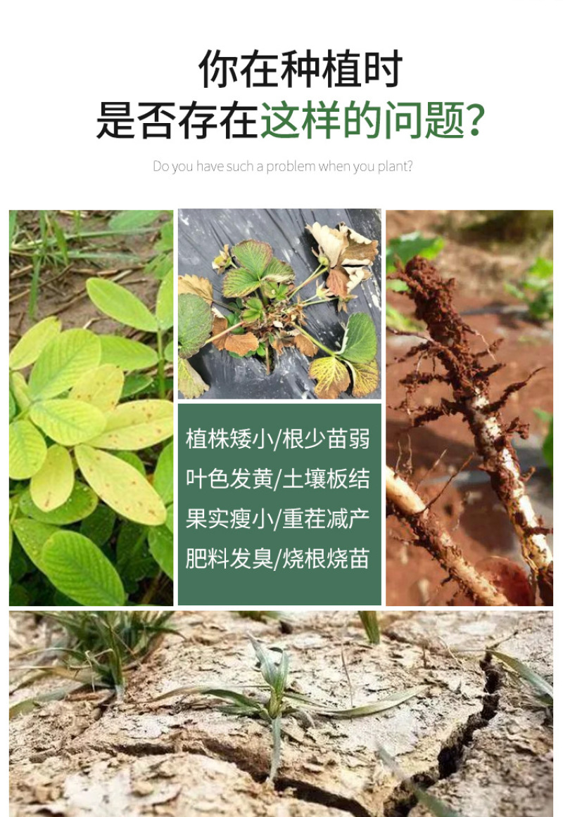 种植EM菌种EM菌液生根抗土传病害改良土喷施肥冲施肥