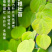 种植EM菌种EM菌液生根抗土传病害改良土喷施肥冲施肥