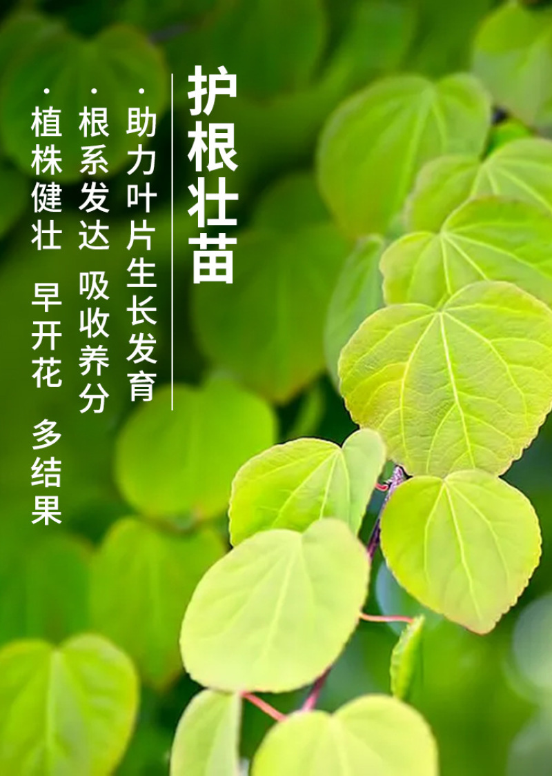 种植EM菌种EM菌液生根抗土传病害改良土喷施肥冲施肥