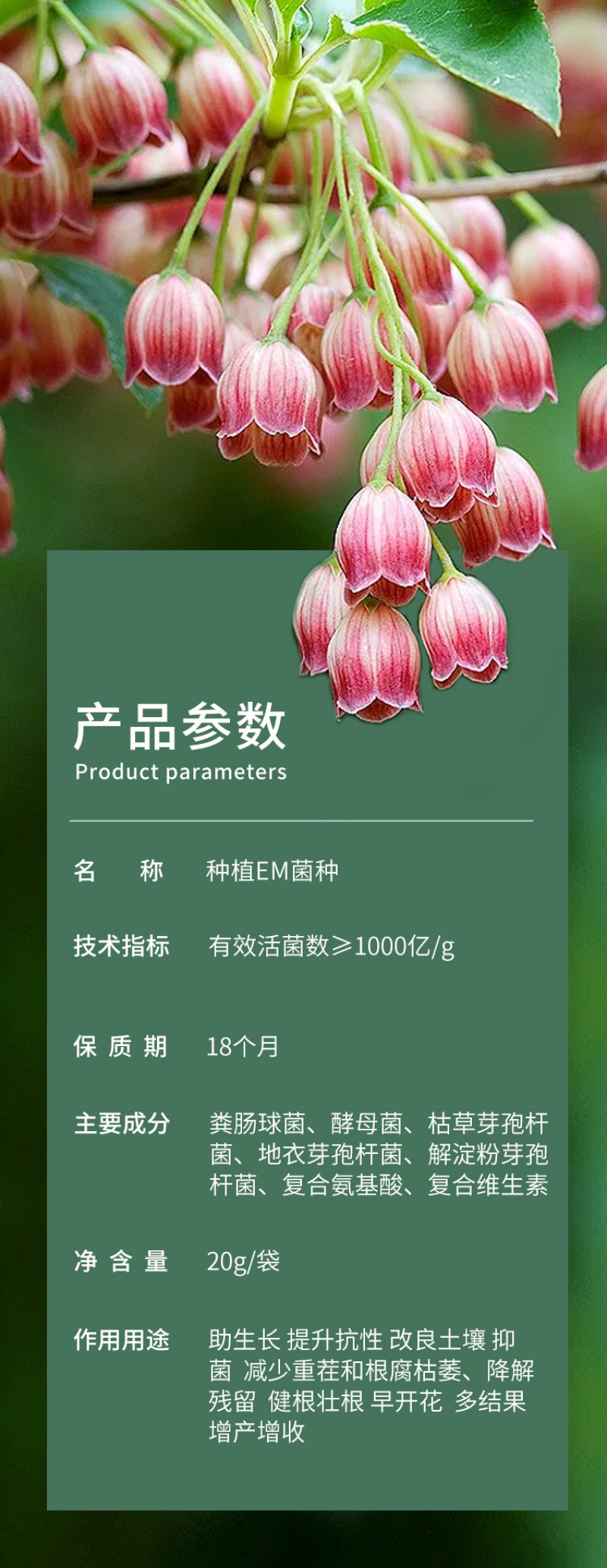 种植EM菌种EM菌液生根抗土传病害改良土喷施肥冲施肥