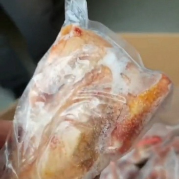 出售二级4-5两鸽子