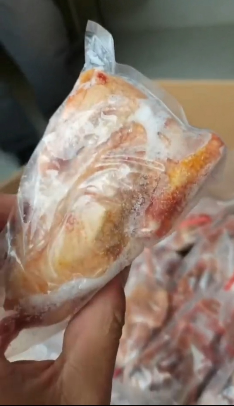 出售二级4-5两鸽子