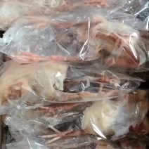 一级6-7两鸽子