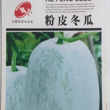 粉皮冬瓜-冬瓜种子耐热性强植株长势强肉厚致密