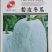 粉皮冬瓜-冬瓜种子耐热性强植株长势强肉厚致密