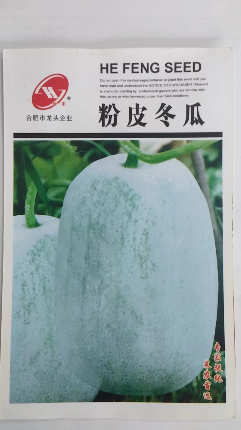 粉皮冬瓜-冬瓜种子耐热性强植株长势强肉厚致密