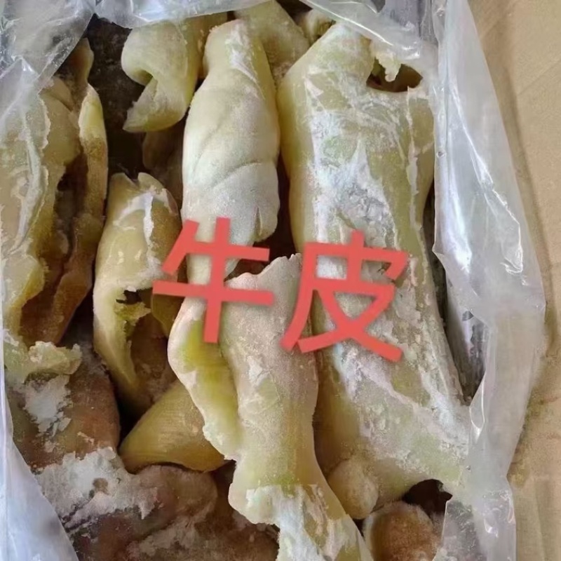 牛皮