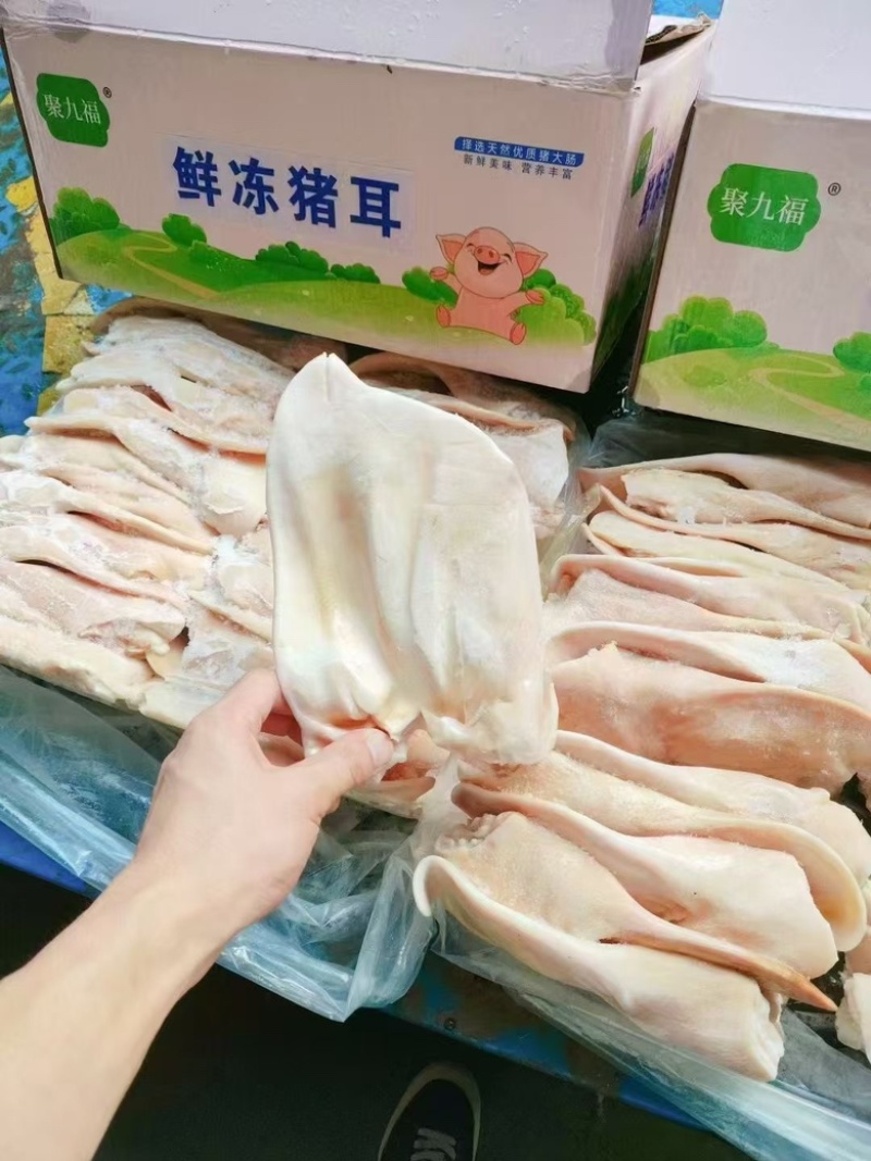 猪耳朵