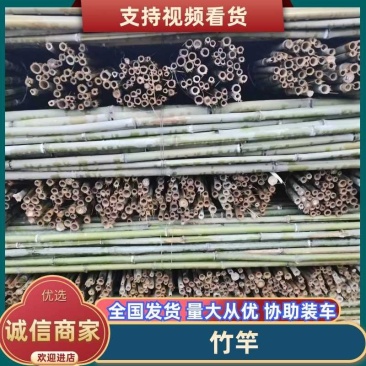 湖南产地直发豆角架，西红柿架，冬瓜架，引苗竹竿，竹子