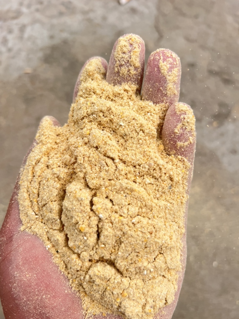 【优选】养殖玉米面山东菏泽工厂直发，质量保证诚信为本