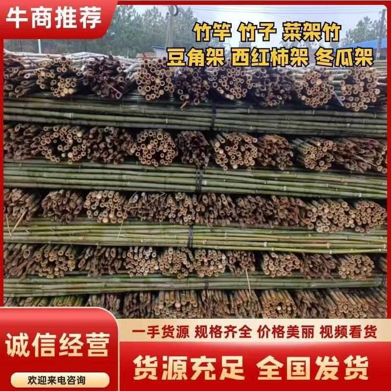 湖南产地直发豆角架，西红柿架，冬瓜架，引苗竹竿，竹子