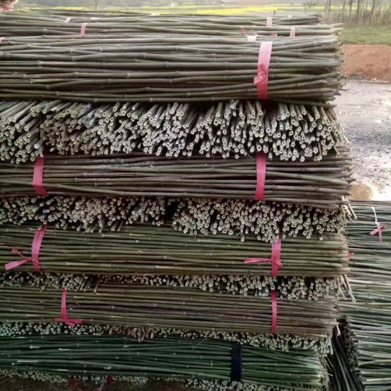 湖南产地直发豆角架，西红柿架，冬瓜架，引苗竹竿，竹子