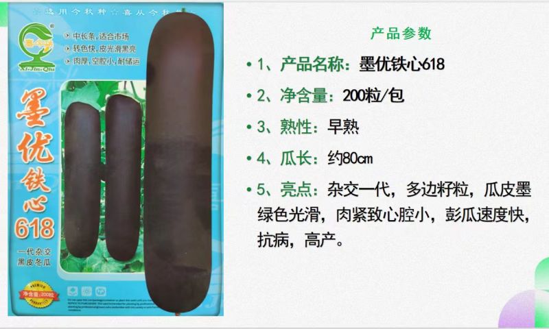 墨优铁心618黑皮冬瓜连续结瓜能力强内腔小耐储运