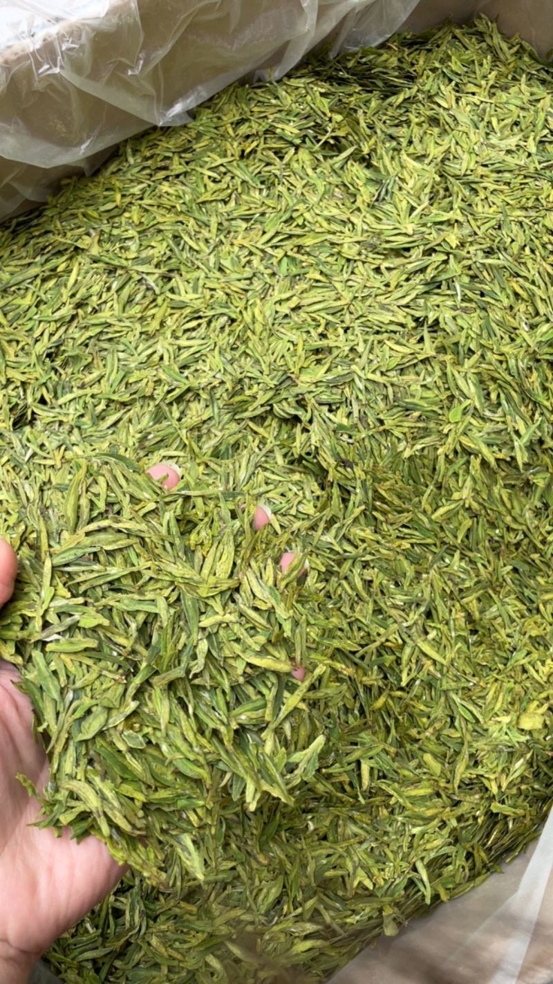 2025年新茶，明前龙井茶