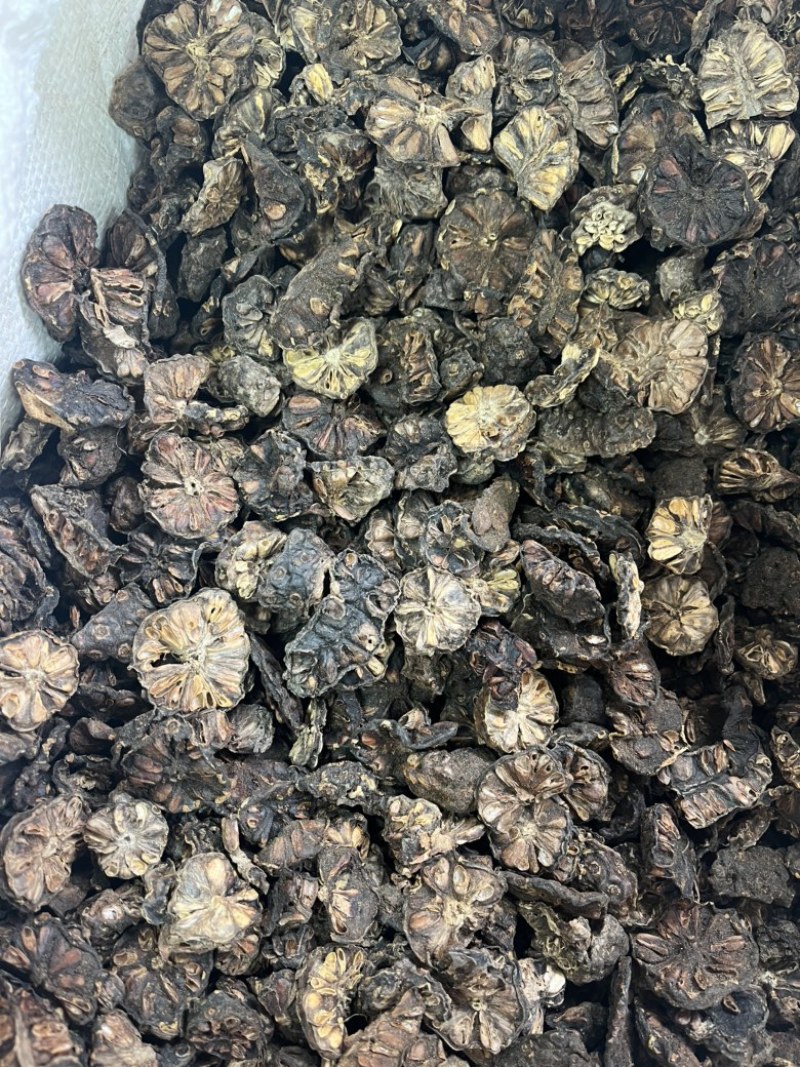 诺丽果干产地直销海南生态干果片自然晒干纯果干