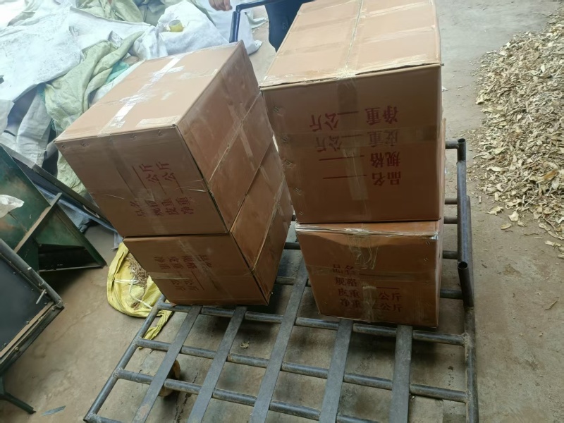 精品当归装箱货养生滋补产地直销质量无忧
