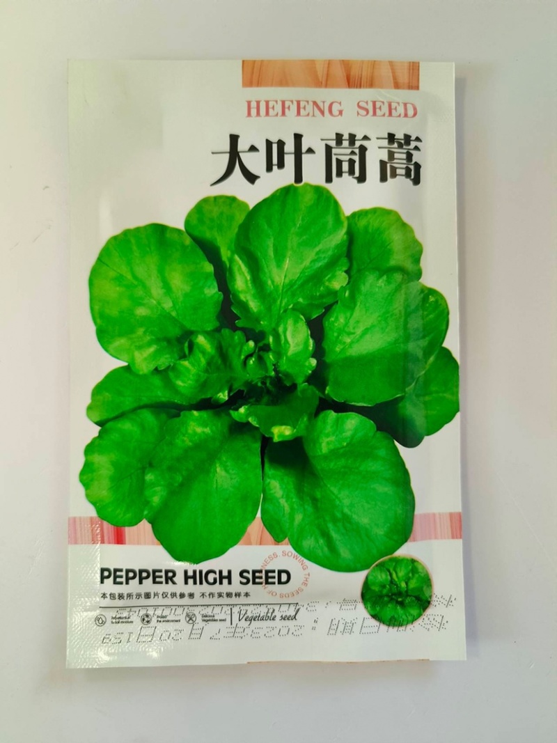 大叶茼蒿-茼蒿种子耐热耐寒大叶肉厚口感鲜嫩爽滑