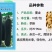【墨龙黑皮冬瓜种子】基地优选品种瓜型粗长搭爬两用