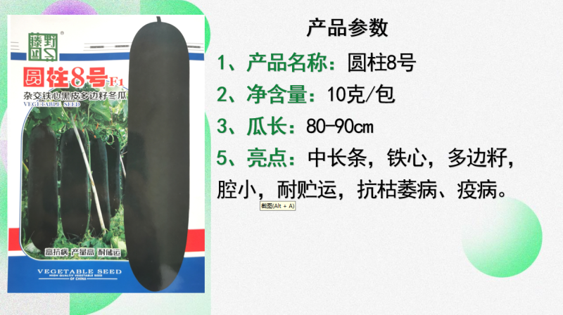 【圆柱8号】铁心瓜早中熟多边籽粒心腔小耐贮运