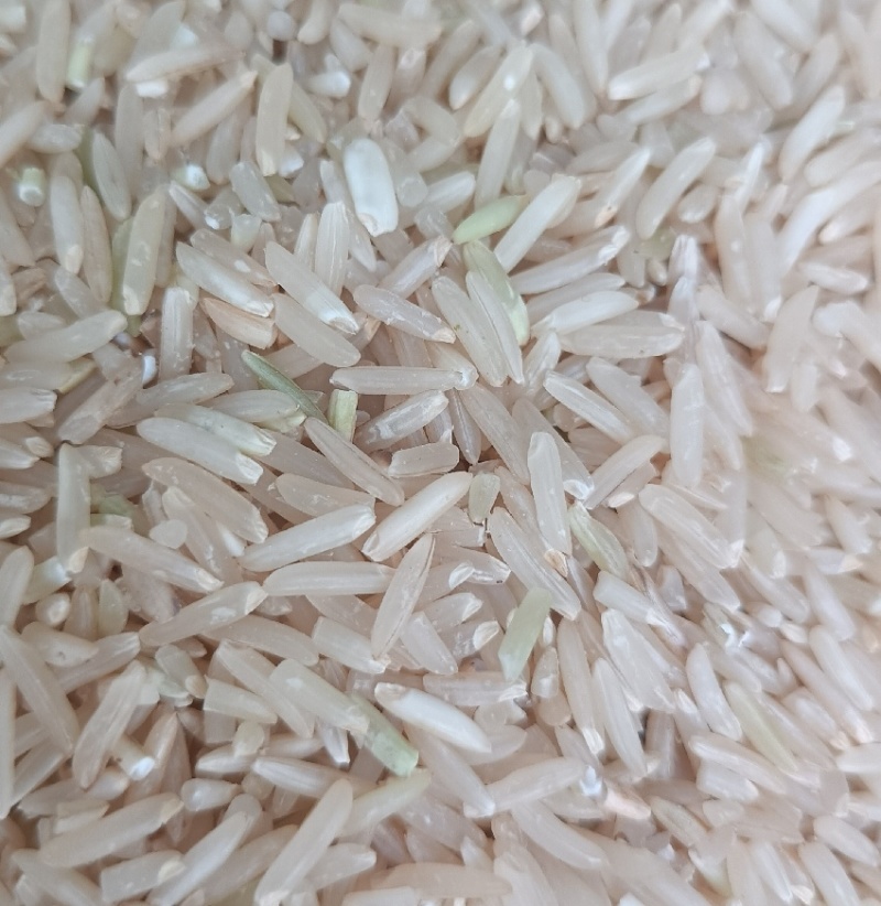 玉针香有机香米香糯可口绵软弹牙***种植鸡粪有机肥料栽培