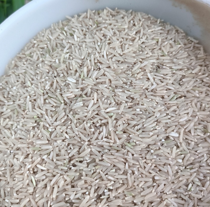 玉针香有机香米香糯可口绵软弹牙***种植鸡粪有机肥料栽培
