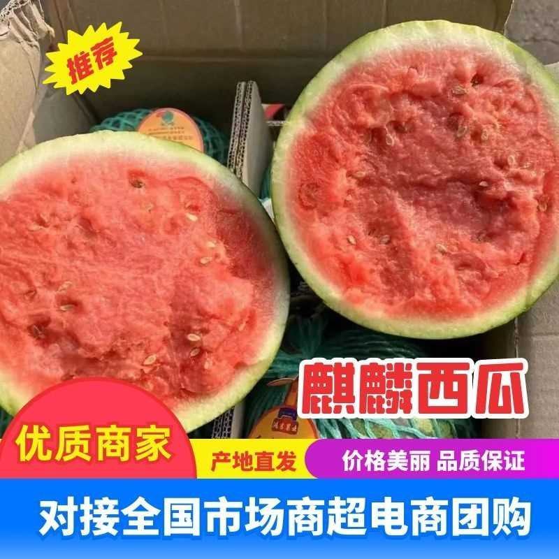 陕西精品美都西瓜包熟包甜货发全国欢迎联系可视频看货