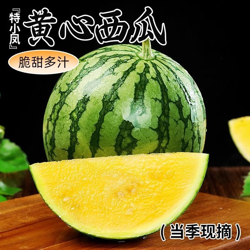 【实力牛商推荐】特小凤西瓜头茬产地直发对接批发商