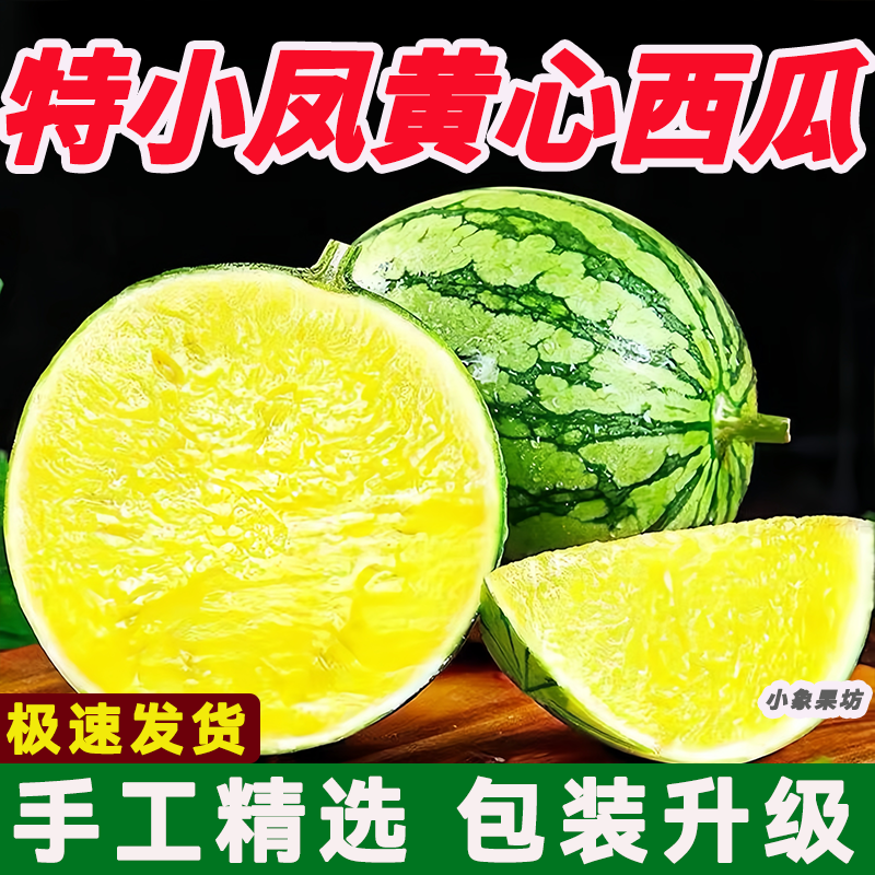 【实力牛商推荐】特小凤西瓜头茬产地直发对接批发商