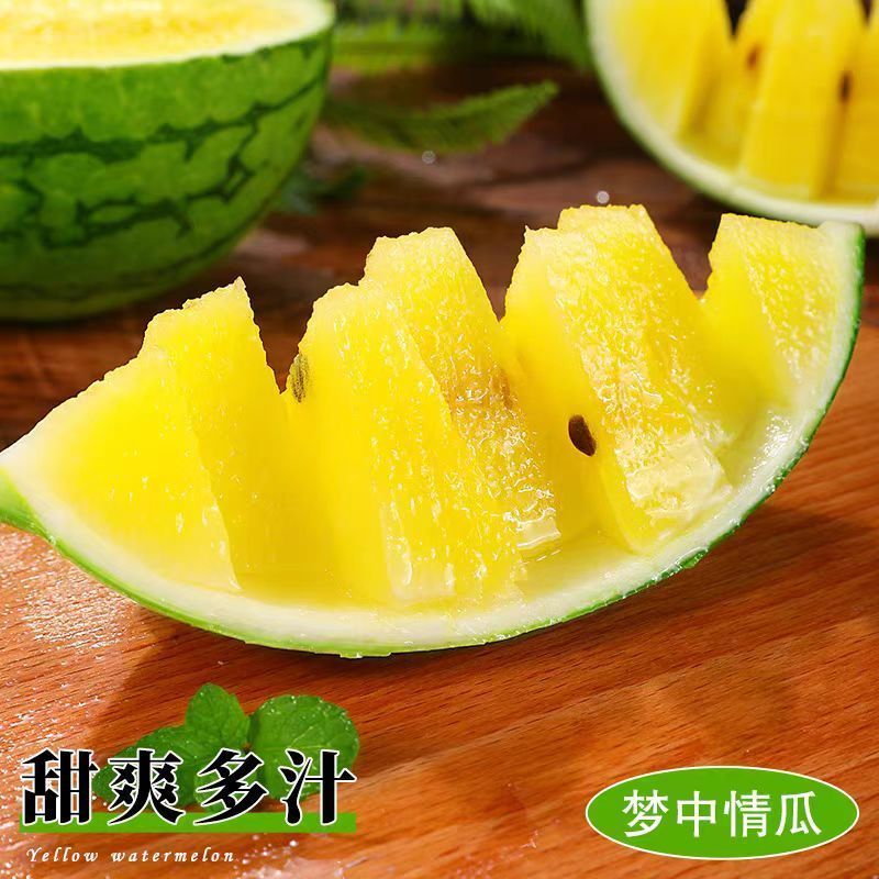 【实力牛商推荐】特小凤西瓜头茬产地直发对接批发商