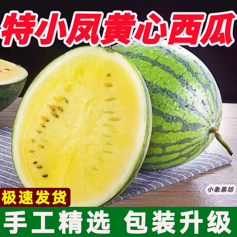 【实力牛商】特小凤西瓜产地直供对接批发商