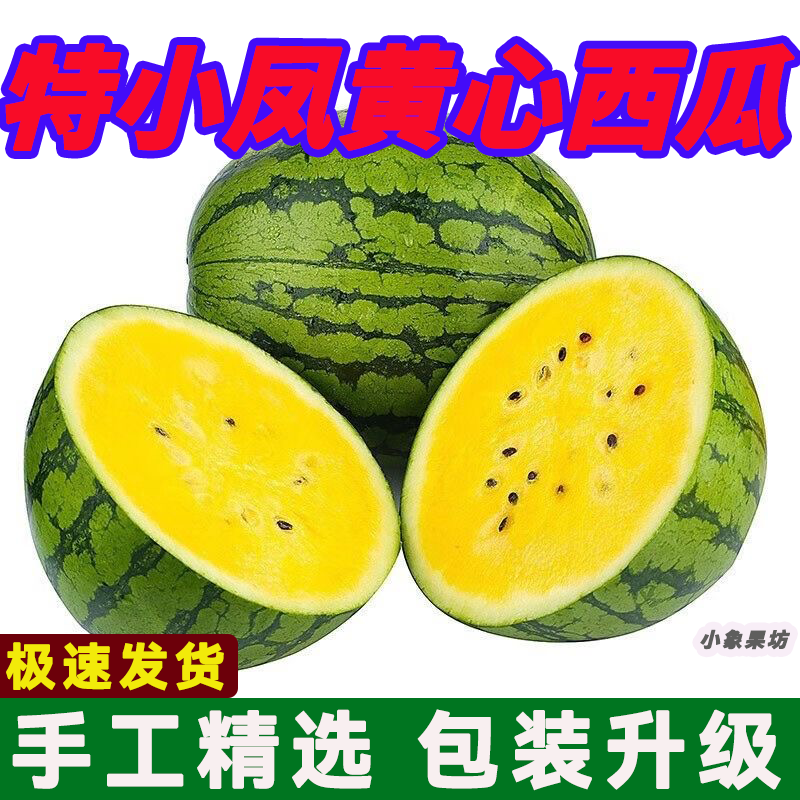 【实力牛商】特小凤西瓜产地直供对接批发商