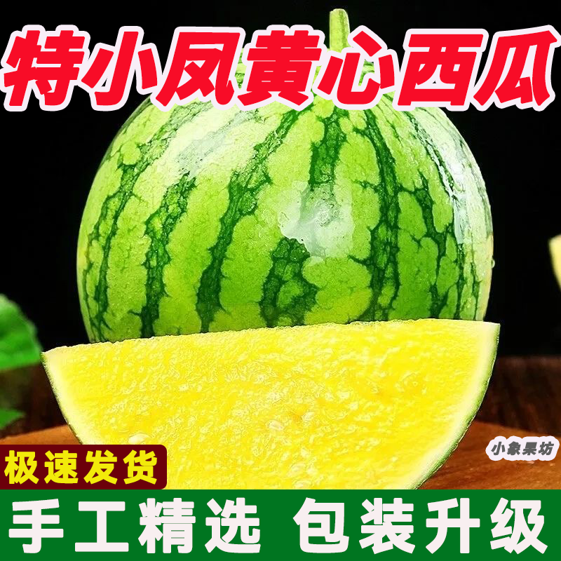 【实力牛商】特小凤西瓜产地直供对接批发商