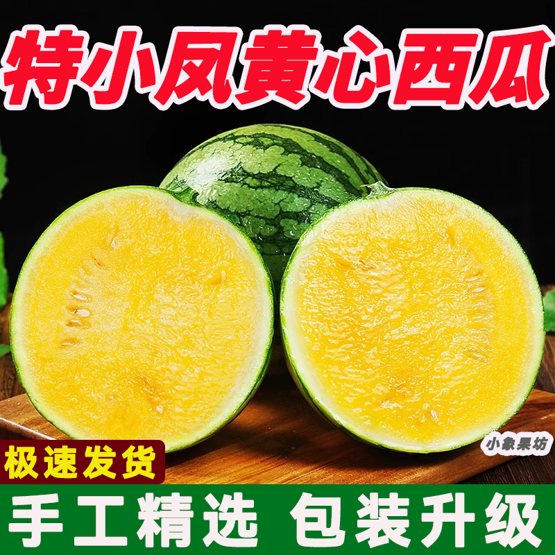 【实力牛商】特小凤西瓜产地直供对接批发商