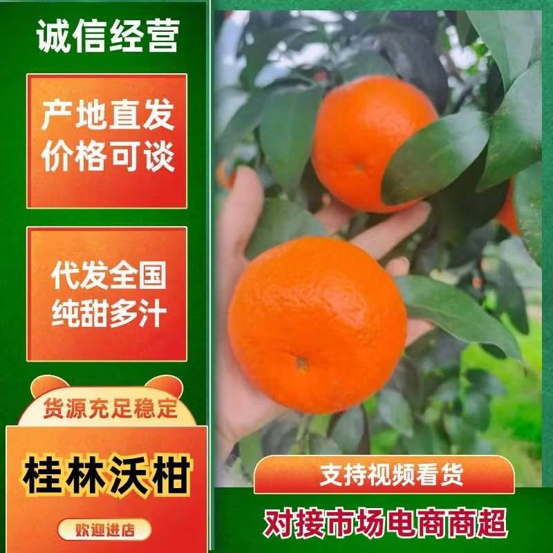 【沃柑】广西沃柑原产地直供个头大无擦伤水分足甜度高一件代发